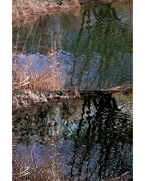 Kliknij na zdjęcie, żeby zobaczyć w pełnych wymiarach