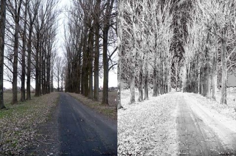 Kliknij na zdjęcie, żeby zobaczyć w pełnych wymiarach