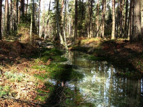 Kliknij na zdjęcie, żeby zobaczyć w pełnych wymiarach