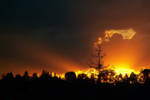 Kliknij na zdjęcie, żeby zobaczyć w pełnych wymiarach
