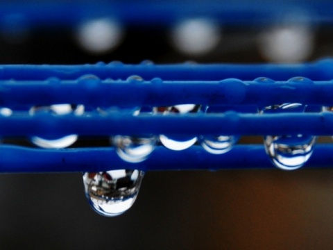 Kliknij na zdjęcie, żeby zobaczyć w pełnych wymiarach