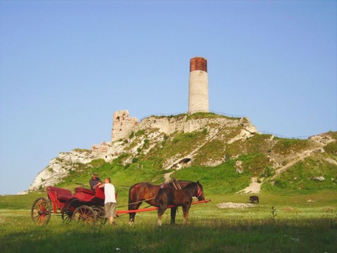 Kliknij na zdjęcie, żeby zobaczyć w pełnych wymiarach