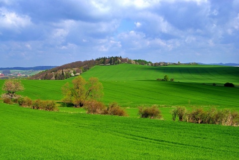 Kliknij na zdjęcie, żeby zobaczyć w pełnych wymiarach