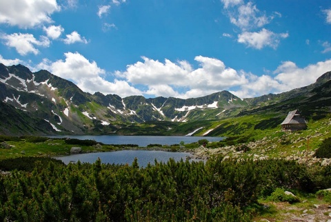 Kliknij na zdjęcie, żeby zobaczyć w pełnych wymiarach
