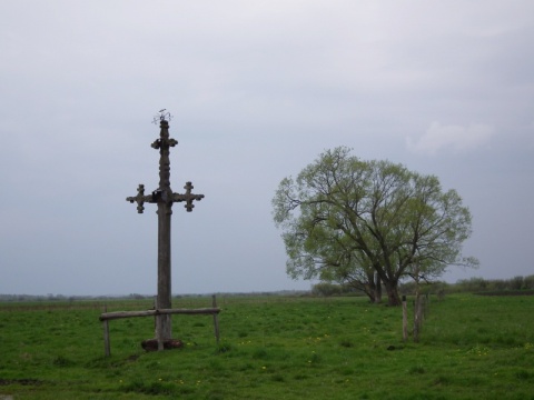 Kliknij na zdjęcie, żeby zobaczyć w pełnych wymiarach