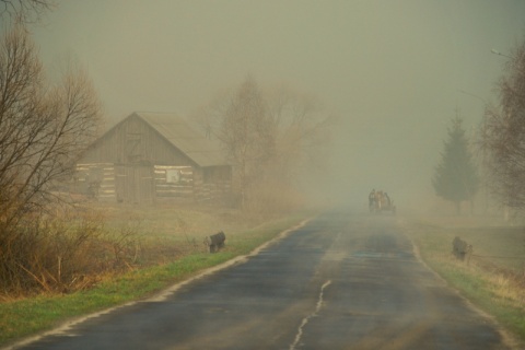 Kliknij na zdjęcie, żeby zobaczyć w pełnych wymiarach