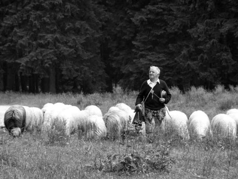Kliknij na zdjęcie, żeby zobaczyć w pełnych wymiarach