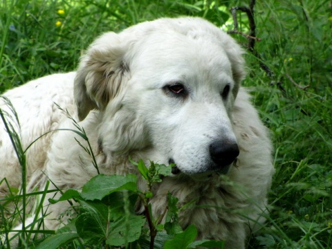 Kliknij na zdjęcie, żeby zobaczyć w pełnych wymiarach
