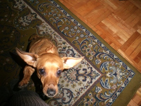 Kliknij na zdjęcie, żeby zobaczyć w pełnych wymiarach