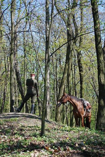 Kliknij na zdjęcie, żeby zobaczyć w pełnych wymiarach