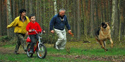 Kliknij na zdjęcie, żeby zobaczyć w pełnych wymiarach