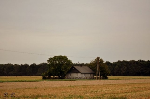 Kliknij na zdjęcie, żeby zobaczyć w pełnych wymiarach