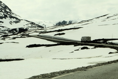 Kliknij na zdjęcie, żeby zobaczyć w pełnych wymiarach