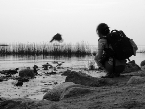 Kliknij na zdjęcie, żeby zobaczyć w pełnych wymiarach