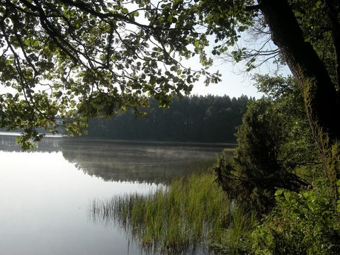 Kliknij na zdjęcie, żeby zobaczyć w pełnych wymiarach