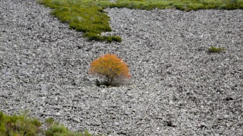 Kliknij na zdjęcie, żeby zobaczyć w pełnych wymiarach