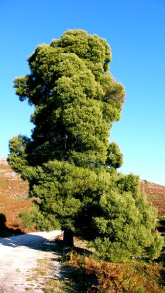 Kliknij na zdjęcie, żeby zobaczyć w pełnych wymiarach