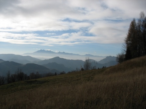 Kliknij na zdjęcie, żeby zobaczyć w pełnych wymiarach