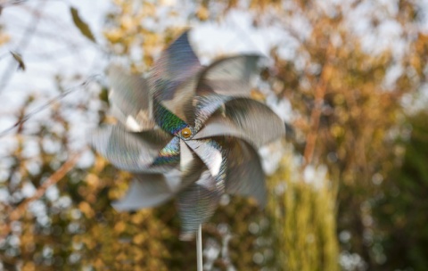 Kliknij na zdjęcie, żeby zobaczyć w pełnych wymiarach