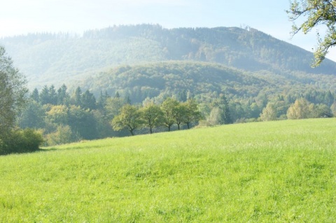 Kliknij na zdjęcie, żeby zobaczyć w pełnych wymiarach