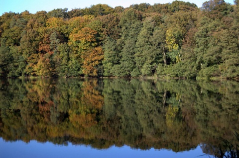 Kliknij na zdjęcie, żeby zobaczyć w pełnych wymiarach