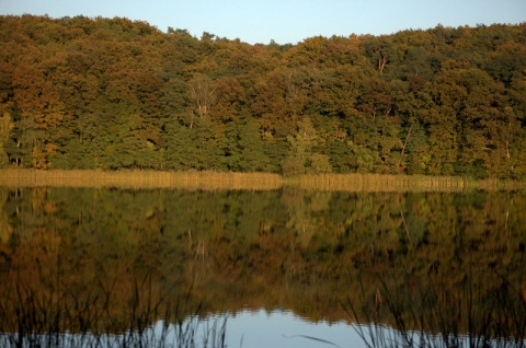 Kliknij na zdjęcie, żeby zobaczyć w pełnych wymiarach