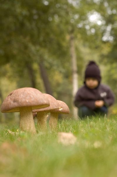 Kliknij na zdjęcie, żeby zobaczyć w pełnych wymiarach