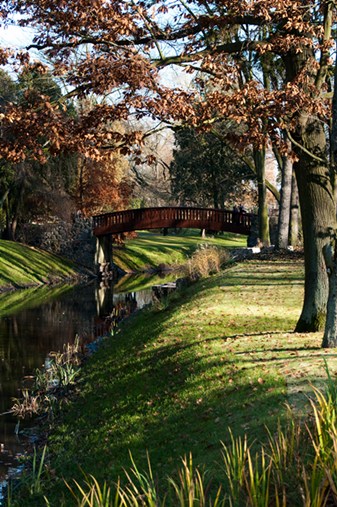 Kliknij na zdjęcie, żeby zobaczyć w pełnych wymiarach