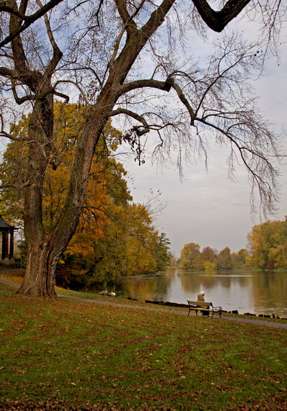 Kliknij na zdjęcie, żeby zobaczyć w pełnych wymiarach