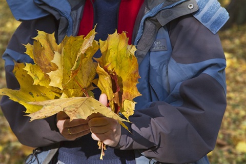 Kliknij na zdjęcie, żeby zobaczyć w pełnych wymiarach
