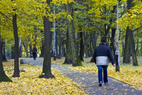 Kliknij na zdjęcie, żeby zobaczyć w pełnych wymiarach