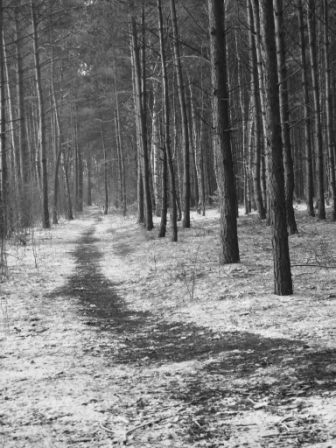 Kliknij na zdjęcie, żeby zobaczyć w pełnych wymiarach