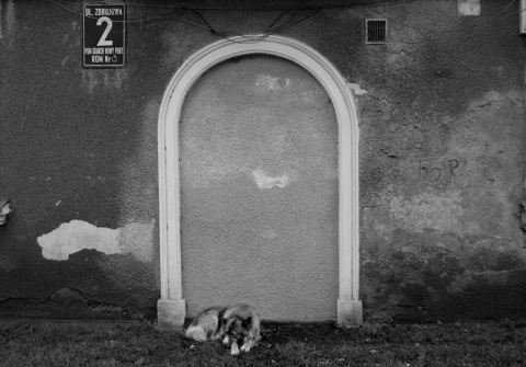 Kliknij na zdjęcie, żeby zobaczyć w pełnych wymiarach