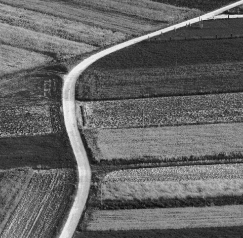 Kliknij na zdjęcie, żeby zobaczyć w pełnych wymiarach