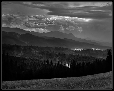Kliknij na zdjęcie, żeby zobaczyć w pełnych wymiarach