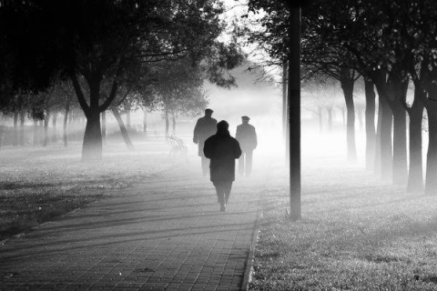 Kliknij na zdjęcie, żeby zobaczyć w pełnych wymiarach