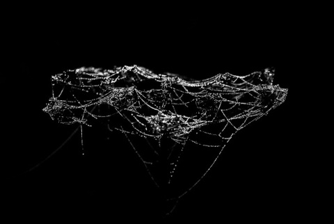 Kliknij na zdjęcie, żeby zobaczyć w pełnych wymiarach