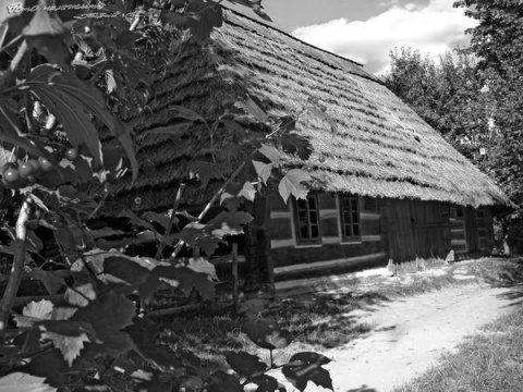 Kliknij na zdjęcie, żeby zobaczyć w pełnych wymiarach