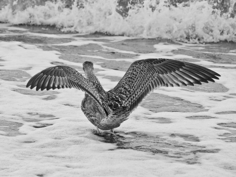 Kliknij na zdjęcie, żeby zobaczyć w pełnych wymiarach