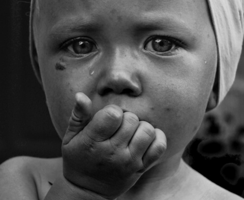 Kliknij na zdjęcie, żeby zobaczyć w pełnych wymiarach