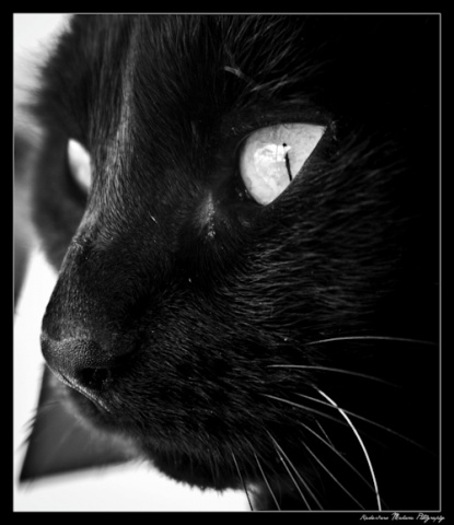 Kliknij na zdjęcie, żeby zobaczyć w pełnych wymiarach