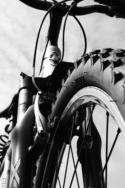 Kliknij na zdjęcie, żeby zobaczyć w pełnych wymiarach