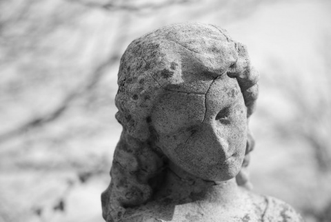 Kliknij na zdjęcie, żeby zobaczyć w pełnych wymiarach