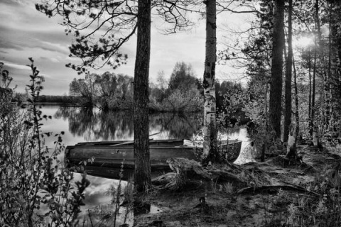 Kliknij na zdjęcie, żeby zobaczyć w pełnych wymiarach