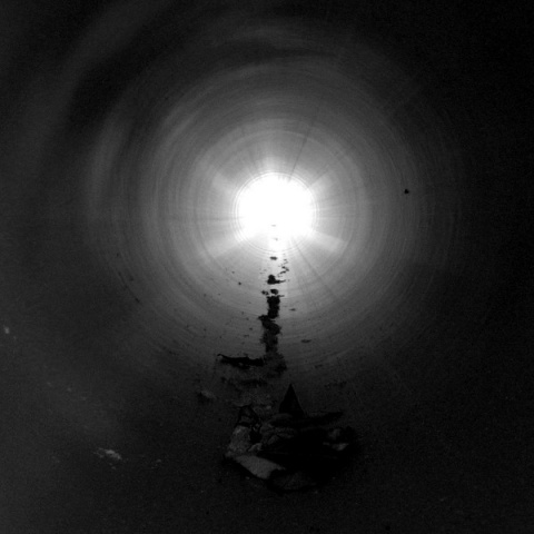 Kliknij na zdjęcie, żeby zobaczyć w pełnych wymiarach