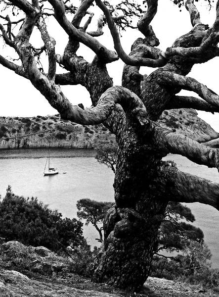 Kliknij na zdjęcie, żeby zobaczyć w pełnych wymiarach