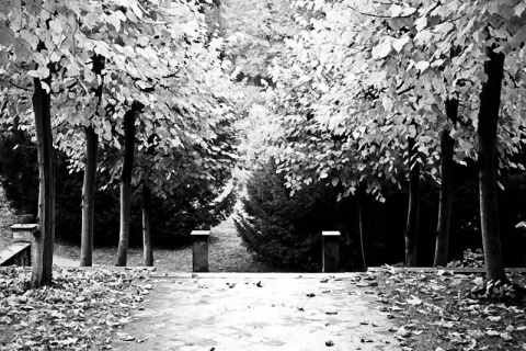 Kliknij na zdjęcie, żeby zobaczyć w pełnych wymiarach