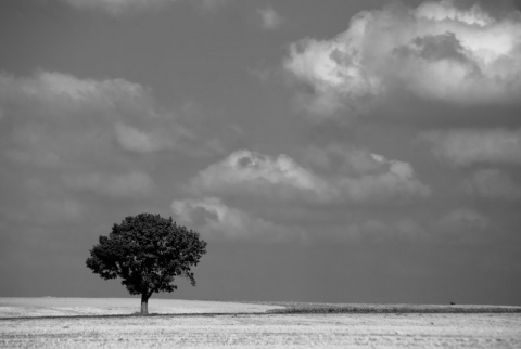 Kliknij na zdjęcie, żeby zobaczyć w pełnych wymiarach
