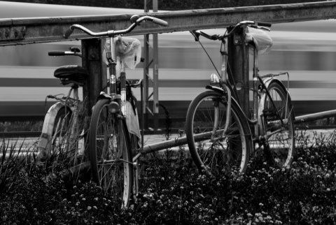 Kliknij na zdjęcie, żeby zobaczyć w pełnych wymiarach