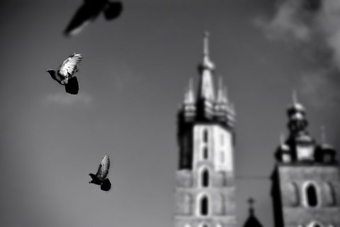 Kliknij na zdjęcie, żeby zobaczyć w pełnych wymiarach